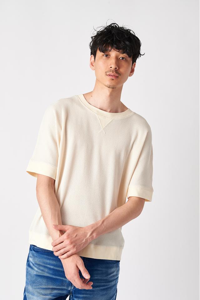 ドルマンスリーブ ガゼットTee