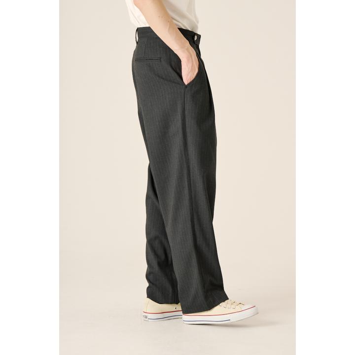 DOUBLE PLEATS WIDE PT