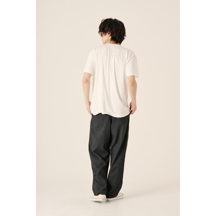DOUBLE PLEATS WIDE PT