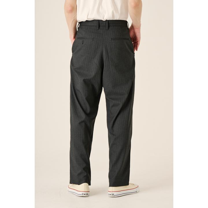 DOUBLE PLEATS WIDE PT