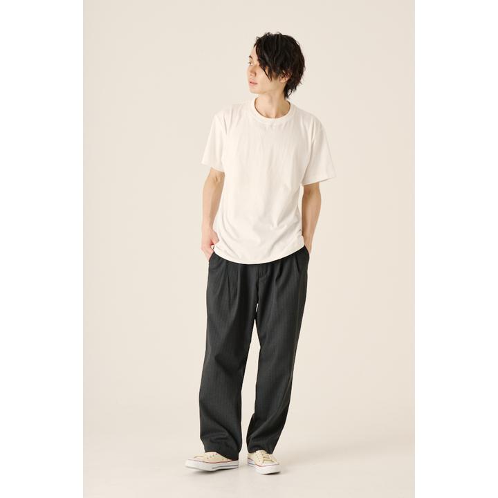 DOUBLE PLEATS WIDE PT